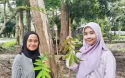 Riset Daun Sungkai Bisa Jadi Obat Covid-19, Tim Peneliti ULM Dapat Dana dari Kemenkeu<