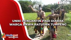 Unik! Pengantin Padi Diarak Warga Bawa Ratusan Tumpeng