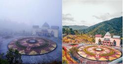 Pesona Kebun Raya Liwa di Lampung, Ada Tanaman Langka dan Perbukitan Diselimuti Kabut