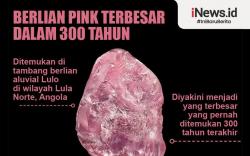Infografis Batu Berlian Pink Terbesar Ditemukan 