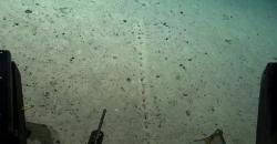 Lubang Misterius Ditemukan di Dasar Laut, Berjajar dengan Sempurna 