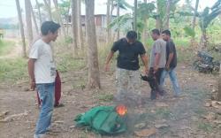 Judi Sabung Ayam, Sejumlah Pelaku Kabur saat Digerebek Polisi