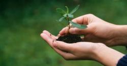 Dukung SDGs, SDM di Indonesia Harus Peduli Kelestarian Lingkungan 