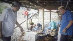 Budi Daya Rumput Laut di Gorontalo Utara Bisa Hasilkan Rp1 Triliun per Tahun