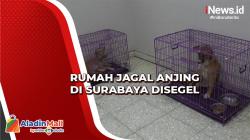 Rumah Jagal Anjing di Surabaya Disegel