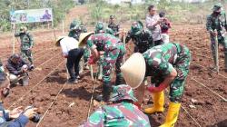 Upaya Pemulihan Ekonomi, Pangdam III Siliwangi Pimpin Penanaman Benih Jagung di Garut