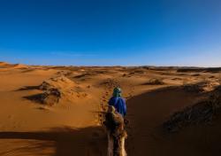 Perbedaan Nabi dan Rasul dalam Islam: Pengertian, Jumlah dan Tugasnya