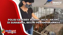 Polisi Gerebek Rumah Jagal Anjing di Surabaya, Begini Penampakannya