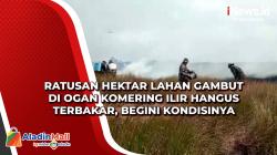 Ratusan Hektar Lahan Gambut di Ogan Komering Ilir Hangus Terbakar, Begini Kondisinya