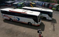 Daftar Pemilik PO Bus Terkaya, Sebagian Melayani Rute yang Melintasi Palembang <