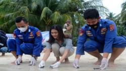 Lindungi dari Kepunahan, 400 Tukik Penyu Hijau Dilepasliarkan di Pulau Ketawai Bangka Tengah