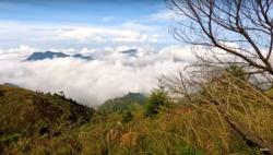 Nikmati Wisata Sejarah hingga Pesona Alam yang Indah di Desa Wisata Dieng Kulon Wonosobo
