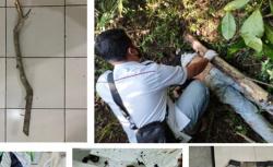 Kasus Pembunuhan Sadis di Magelang Terungkap, Pelaku Ternyata Seorang Pelajar