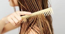 Penting Rawat Rambut dengan Bahan Alami, Salah Satunya Pakai Ginseng Atasi Kerontokan 