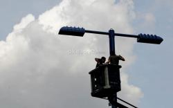 Korupsi Proyek Lampu Jalan Luwu Timur, Tersangka Gunakan Dokumen Perusahaan Tanpa Izin<