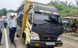 Razia KIR di Babel, 107 Kendaraan Ditilang dalam 4 Hari