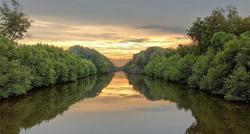 Eksplorasi Alam di Taman Wisata Mangrove, Peduli Lingkungan dengan Makan Sehat
