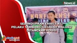 Selundupkan Emas 5 Kg, Pelaku Tambang Ilegal di Maluku Ditangkap Polisi
