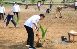 Warga Boyolali Senang Dapat Bibit Kelapa Genjah: Terima Kasih Pak Jokowi dan Pak Ganjar