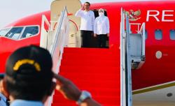 Jokowi Akan Tinjau Pengembangan Kelapa Genjah di Boyolali dan Sukoharjo Hari Ini