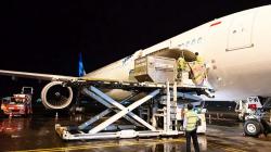 Sulawesi Utara Tingkatkan Ekspor Tepung Kelapa ke Timur Tengah, Permintaan Masih Tinggi