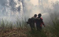 Karhutla di Sumsel Naik 2 Kali Lipat, Ini Lokasi Terluas<