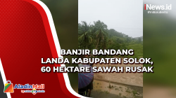 Banjir Bandang Landa Kabupaten Solok, 60 Hektare Sawah Rusak
