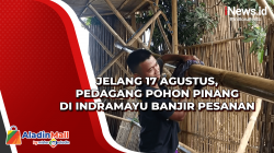 Jelang 17 Agustus, Pedagang Pohon Pinang di Indramayu Banjir Pesanan