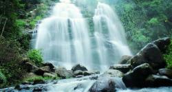 Pesona Air Terjun Mbah Gimo Dikelilingi Kebun Kopi, Keindahannya bak Tirai Raksasa