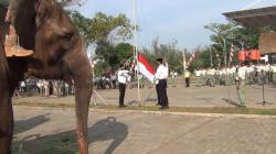 Unik, Satwa Koleksi Taman Safari Beach Batang Diikutkan dalam Upacara HUT RI