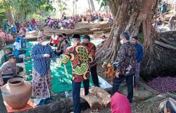 Melihat Tradisi Nguras Sendang Tahunan Kulonprogo, Ajarkan Kebersamaan dan Rasa Syukur
