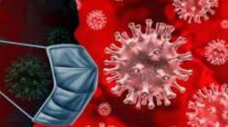 22 Sampel Uji Cepat Antigen di Sulut Positif Covid-19