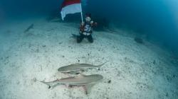 Peringati HUT Kemerdekaan Ke-77 RI, WASI Gelar Merdeka Night Dive di Kota Bitung