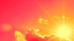 5 Contoh Sumber Daya Alam yang Dapat Diperbaharui, Apa Saja?