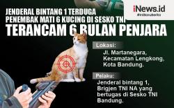 Infografis Jenderal Bintang 1 Penembak Mati Kucing di Bandung Terancam 6 Bulan Penjara