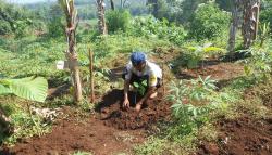 Selamatkan Lahan Kritis di DAS Sungai, PJT II Jatiluhur Intensifkan Ini 