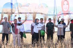 Kementerian Pertanian Targetkan Swasembada Kedelai pada 2026, Begini Langkahnya