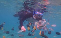 Fakta Taman Laut Bunaken di Sulawesi Utara, Surga bagi Para Penyelam