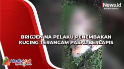 Brigjen NA Pelaku Penembakan Kucing di Sesko TNI Terancam Pasal Berlapis