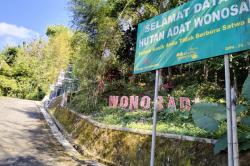 Angkernya Hutan Adat Wonosadi Gunungkidul, yang Berani Menebang Kayunya Akan Celaka<