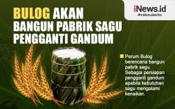 Infografis Bulog Akan Bangun Pabrik Sagu Pengganti Gandum