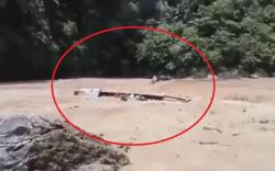 Perahu Pengantar Pengantin Terbalik di Sungai Aceh Timur Ternyata Berangkat dari Sumut<