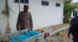 TKA China Tewas Tertimpa Batu di Terowongan PLTA Batang Toru Tapsel