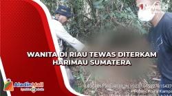 Bekerja di Lintasan Harimau Sumatera Berkeliaran, Wanita di Riau Tewas Diterkam