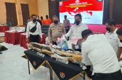 Bongkar Jaringan Pengedar Lintas Provinsi, Polda DIY Temukan 7 Hektare Ladang Ganja di Aceh