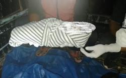 Sadis, Ibu Muda di Alor Bunuh Bayi Baru Lahir, Terbongkar usai Anjing Tetangga Gali Tanah