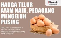 Infografis Harga Telur Ayam Naik, Pedagang Mengeluh Pusing