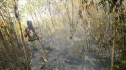 BMKG Deteksi 90 Titik Panas di Kaltim, Paling Banyak di Wilayah Mahakam Ulu