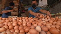 Warga Cimahi Terpaksa Beli dan Konsumsi Telur Pecah karena Lebih Murah<
