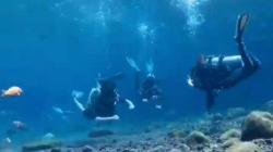 8 Sumber Mata Air atau Umbul Terkenal di Indonesia, Nomor 1 Hasilkan Miliaran Rupiah